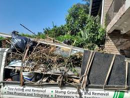 Best Hoarding Cleanup  in Huntsville, AR